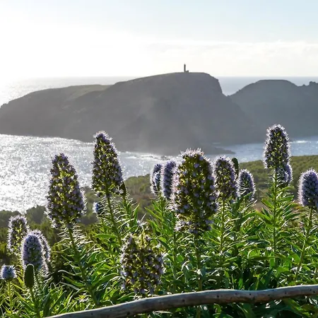 Apartmán Blue House Porto Santo