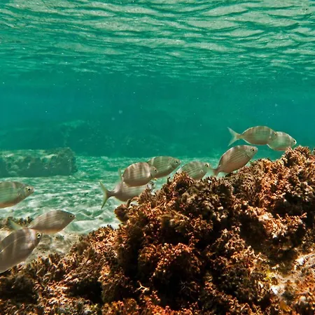 Blue House بورتو سانتو