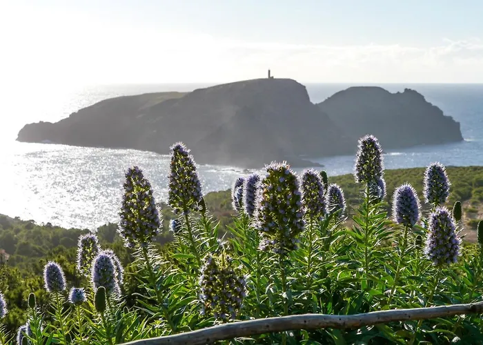 Apartmán Blue House Porto Santo