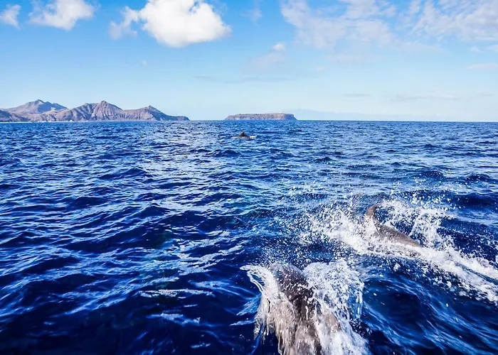 Blue House Apartmán