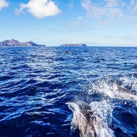 Blue House Apartmán