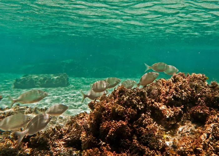 Blue House Letterkenny